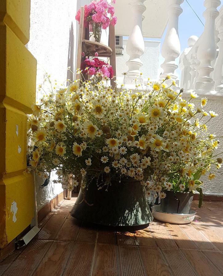 Limon Pansiyon โฟชา ภายนอก รูปภาพ